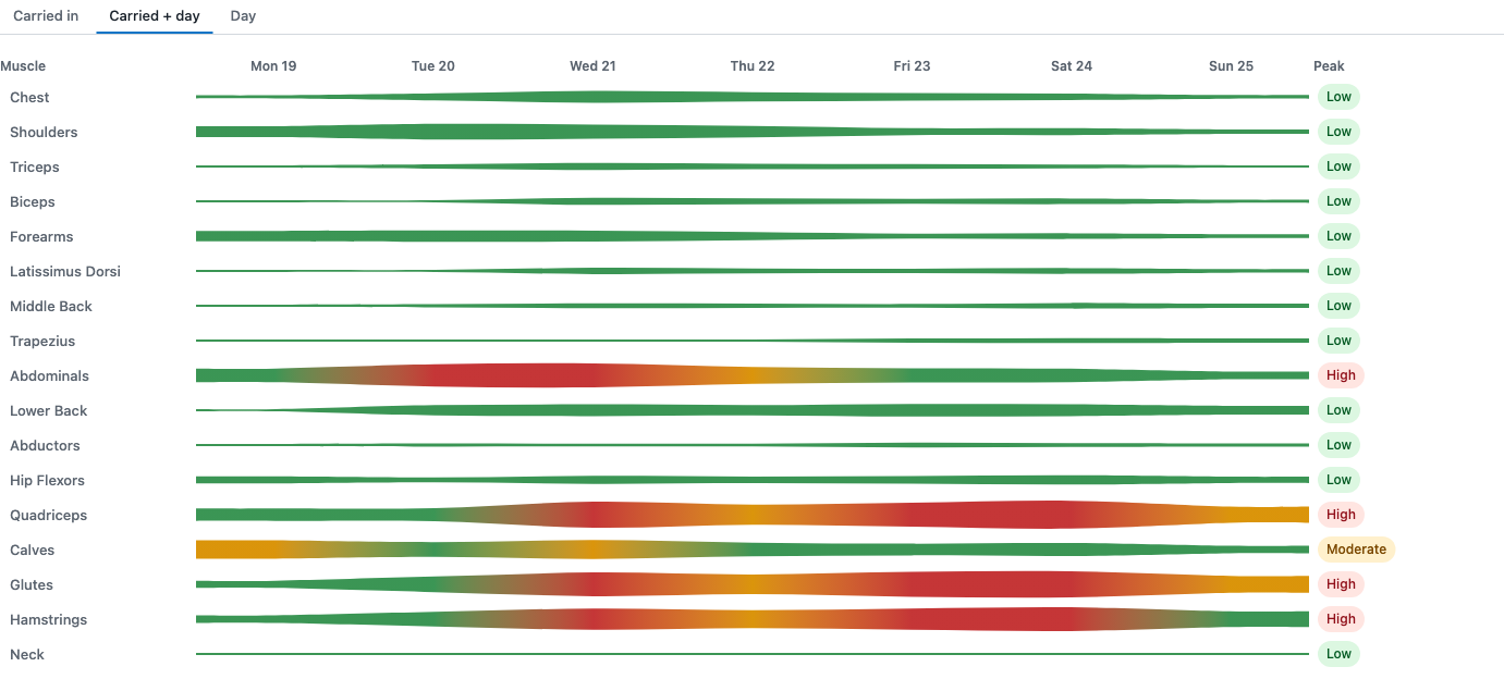 Every muscle group as one ribbon across the week, green where it is recovered, amber and red where the week's work builds up